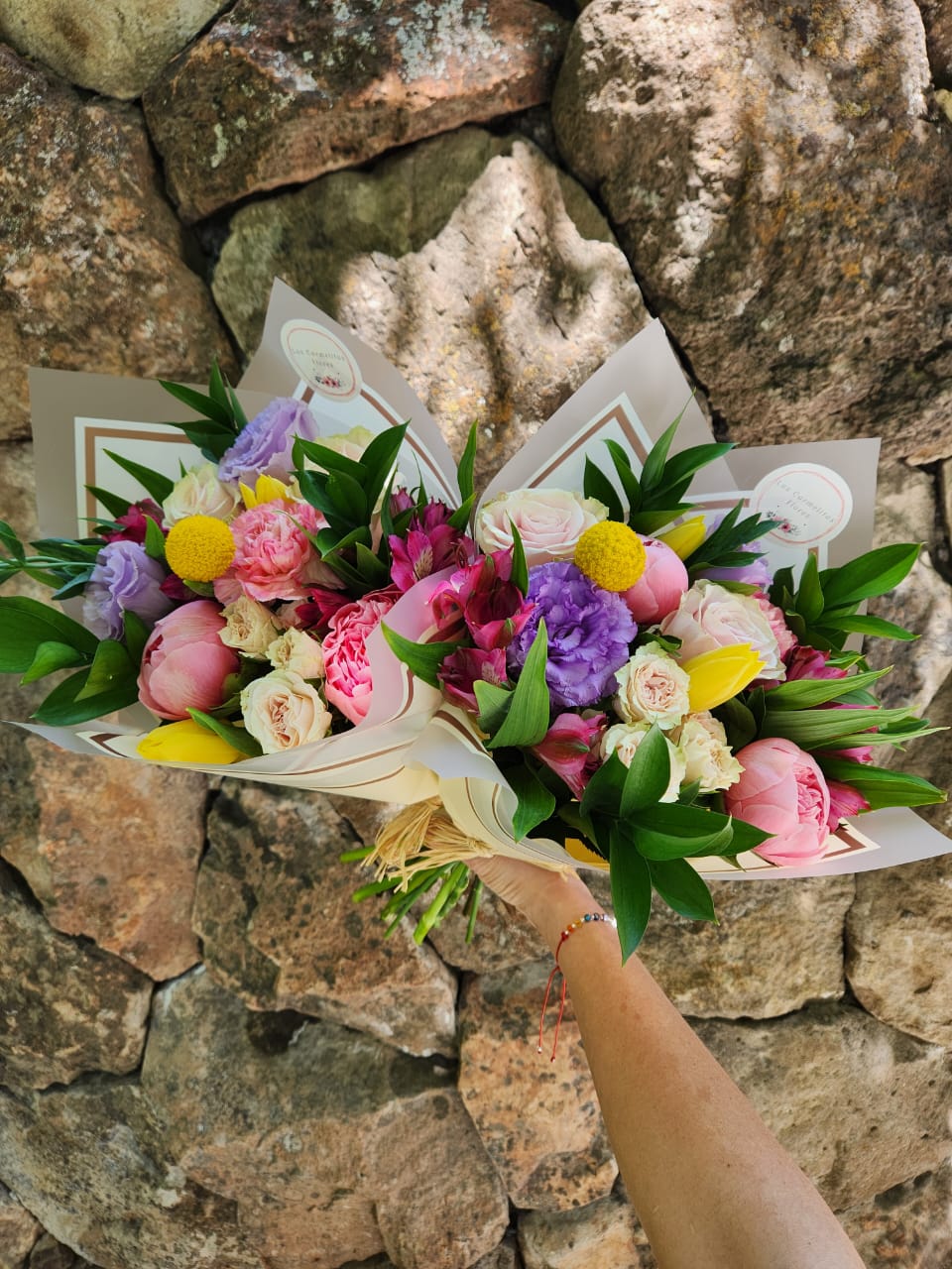 WhatsApp Image 2026-01-26 at 17.14.49