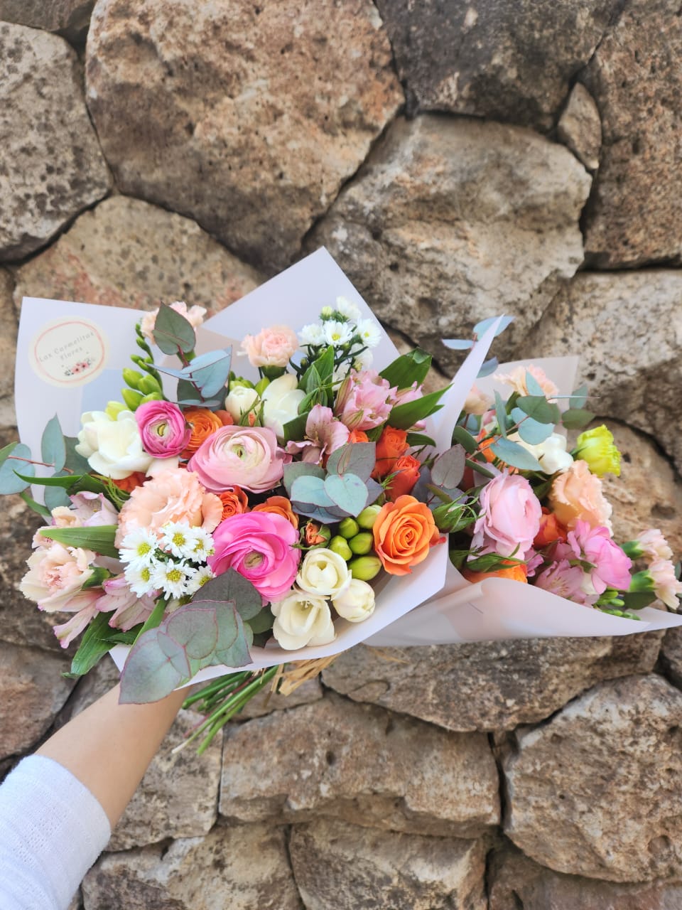 WhatsApp Image 2026-01-26 at 17.27.13