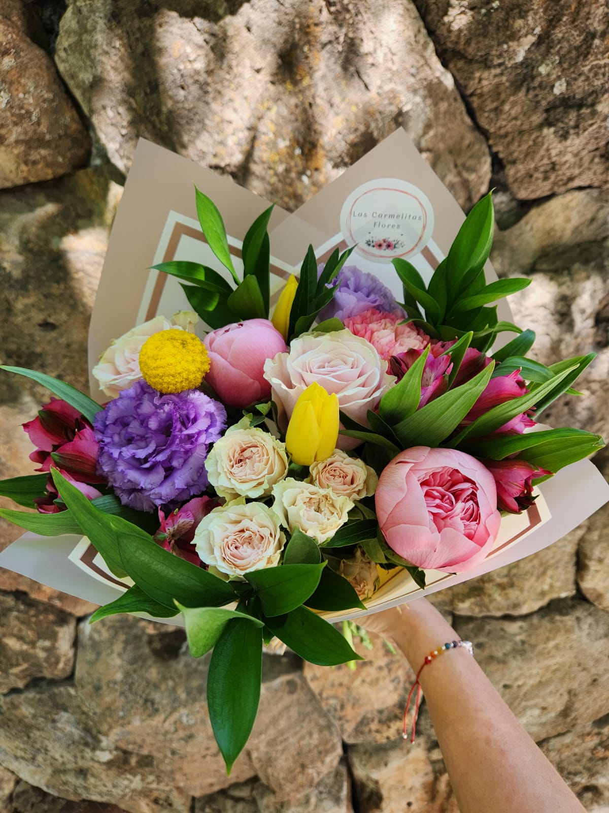 WhatsApp Image 2026-01-26 at 22.56.13