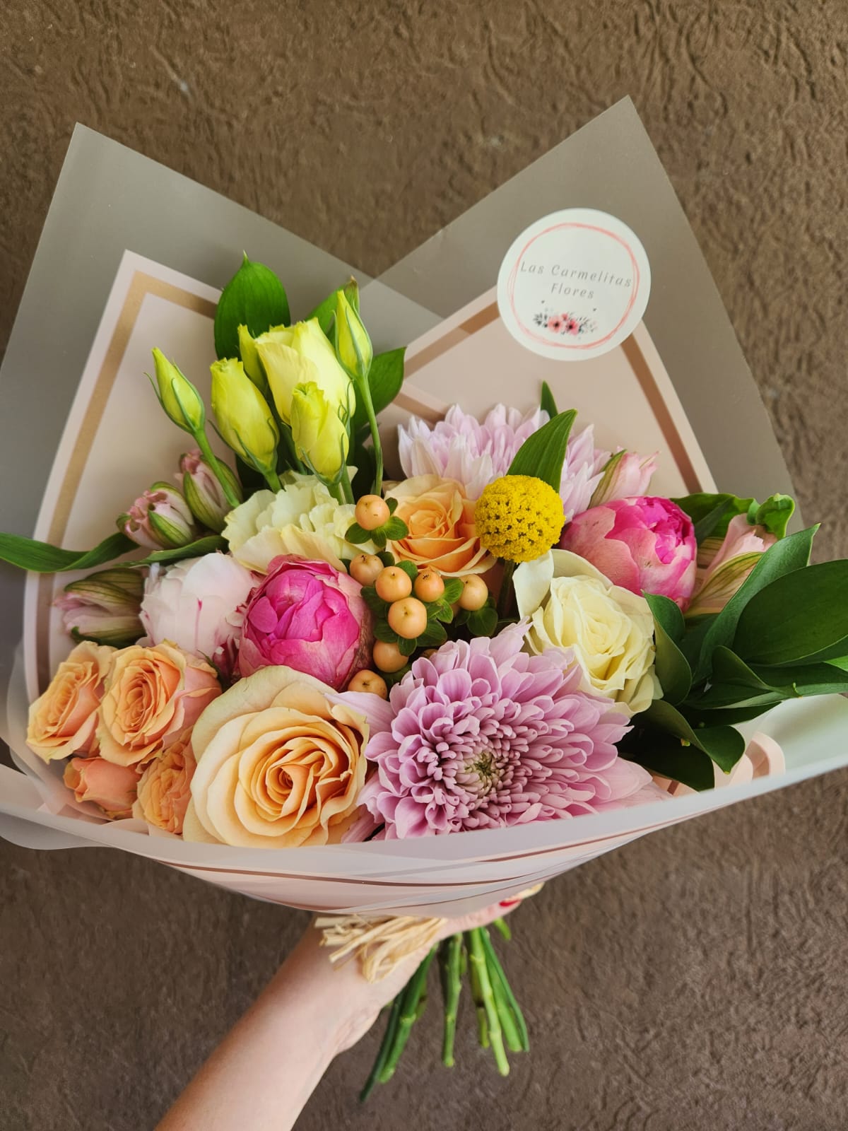 WhatsApp Image 2026-01-27 at 08.05.12