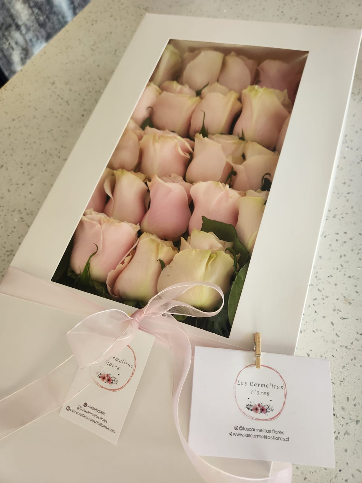 WhatsApp Image 2025-11-09 at 12.14.19