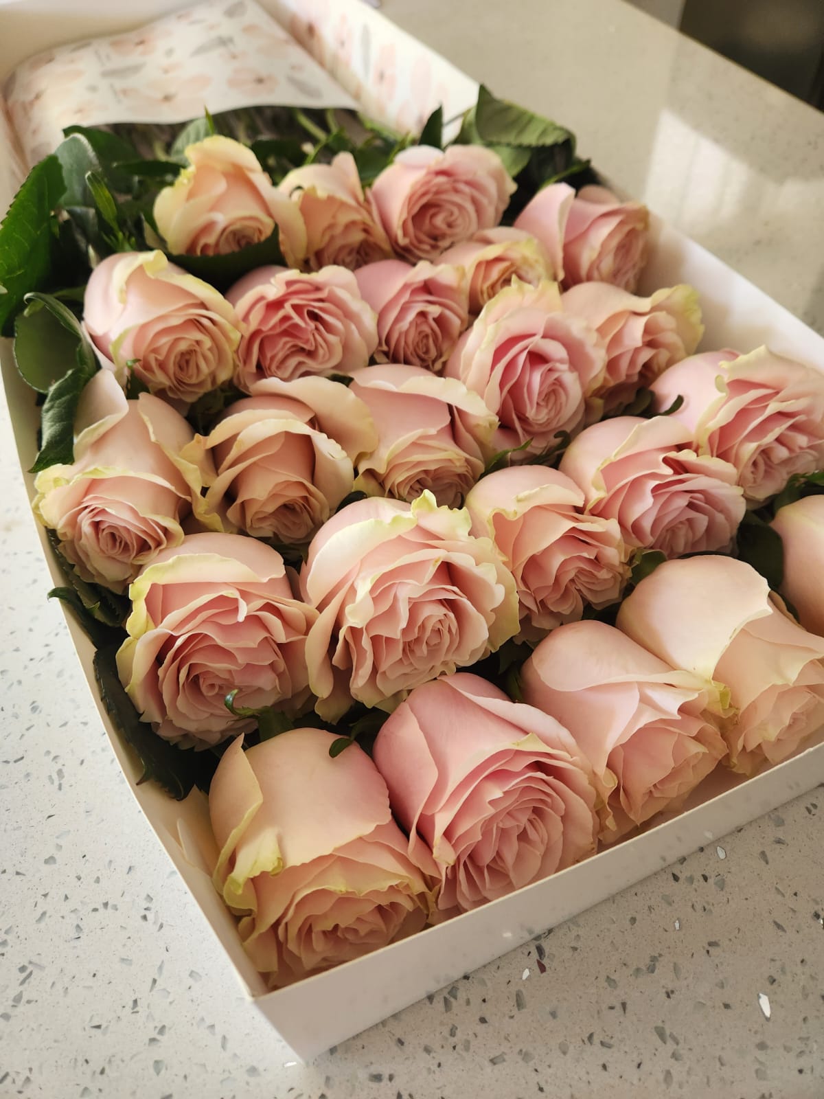 WhatsApp Image 2025-11-09 at 12.14.20