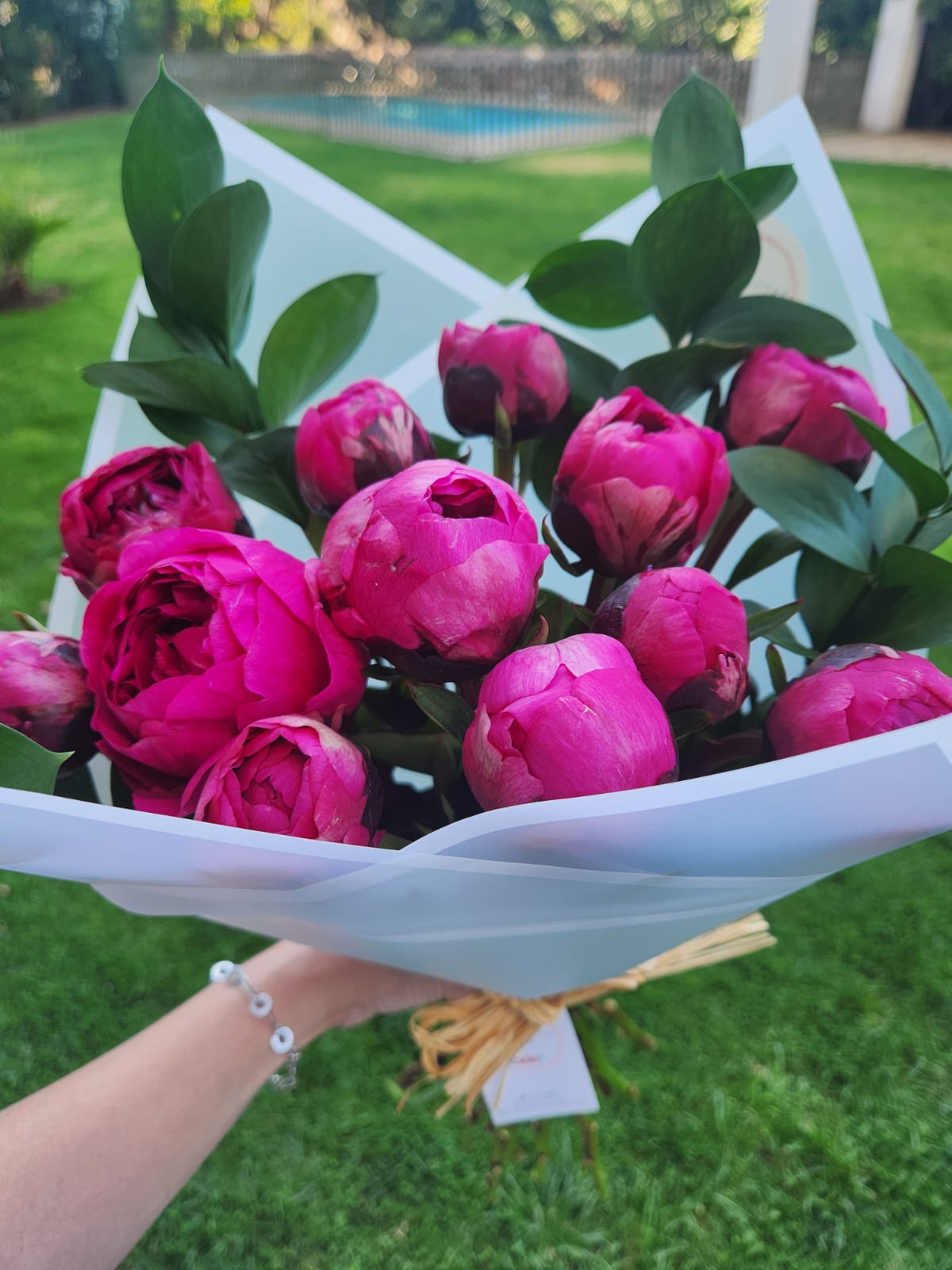 WhatsApp Image 2025-11-09 at 10.49.42 (1)