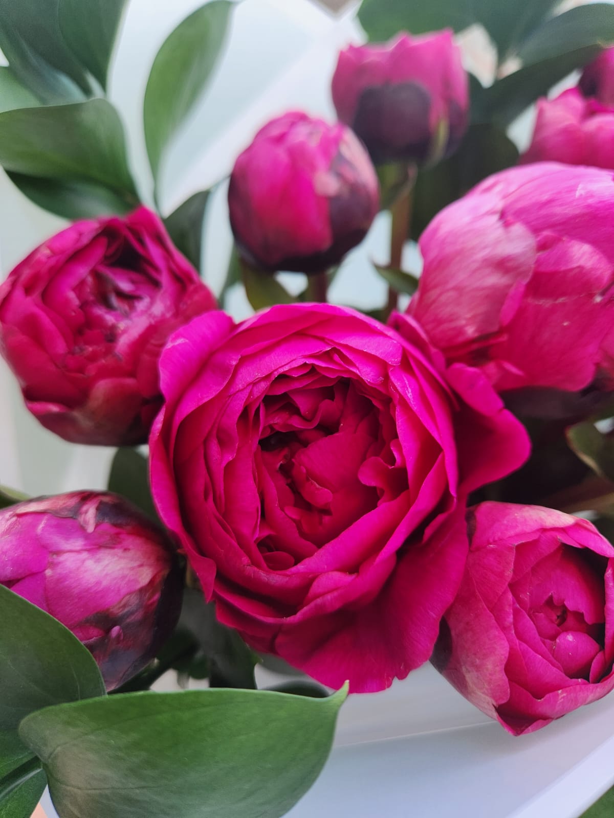 WhatsApp Image 2025-11-09 at 10.49.42 (2)