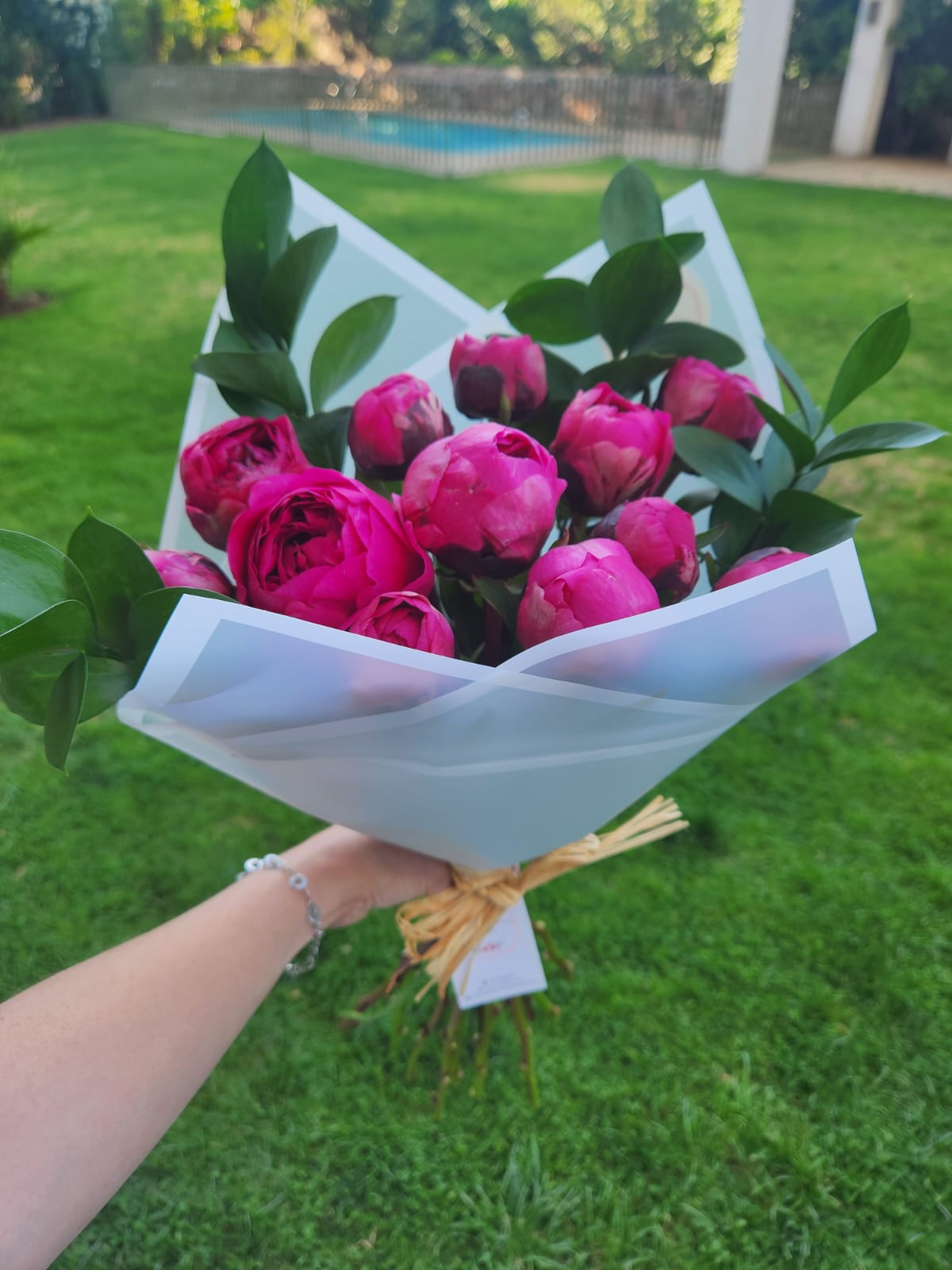 WhatsApp Image 2025-11-09 at 10.49.42