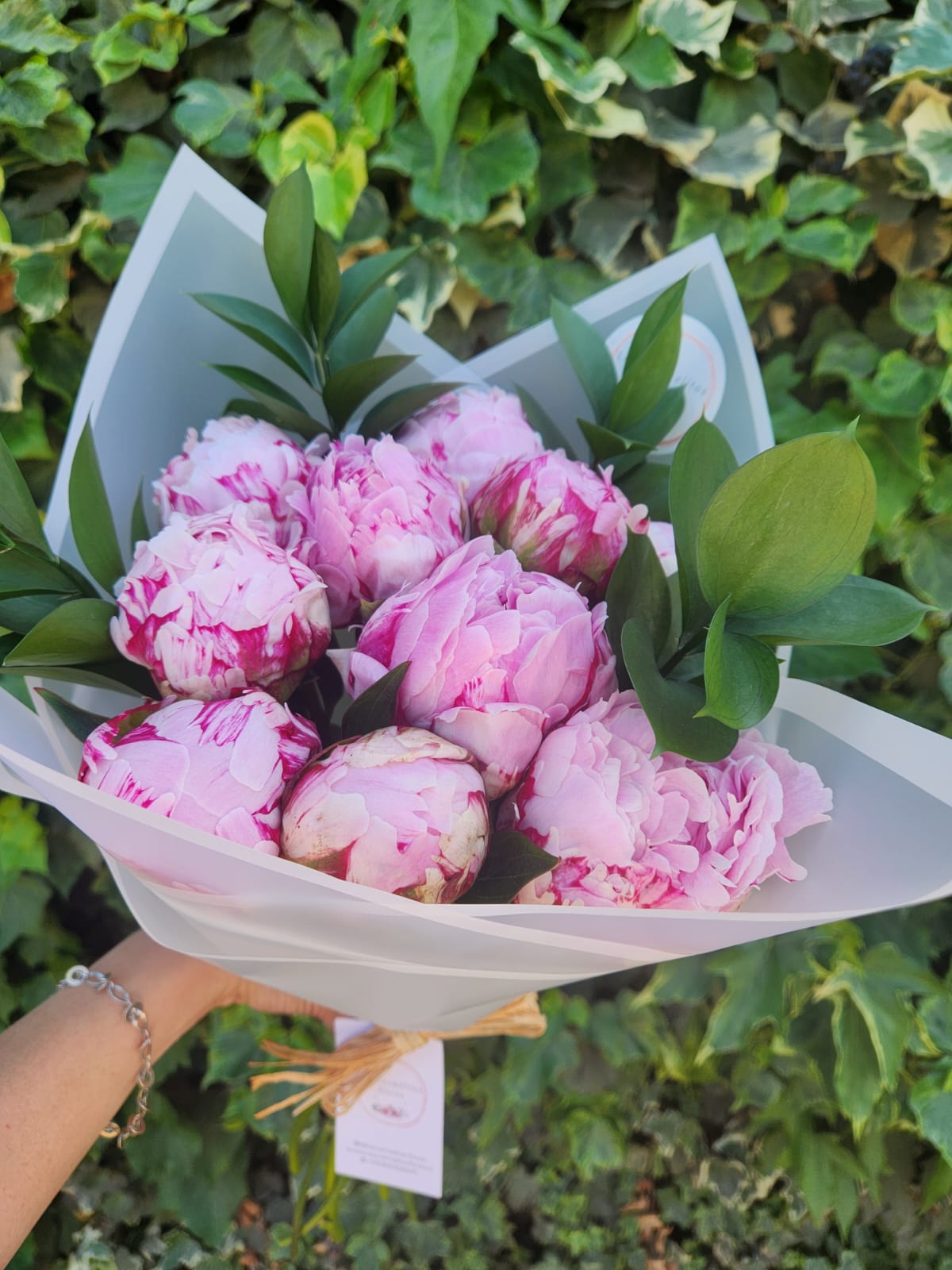 WhatsApp Image 2025-11-09 at 10.54.04 (1)