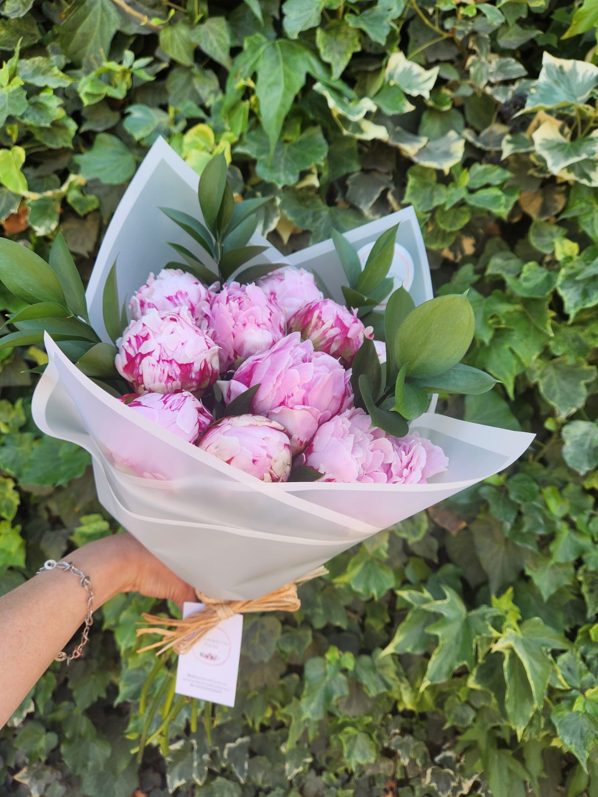 WhatsApp Image 2025-11-09 at 10.54.04